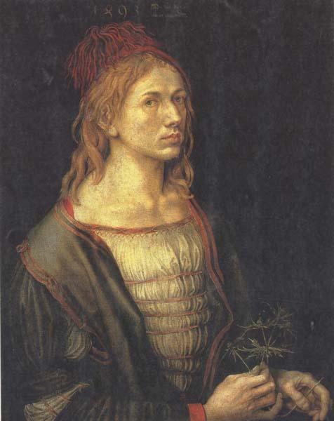 Albrecht Durer Self-Portrait (mk45) oil painting picture